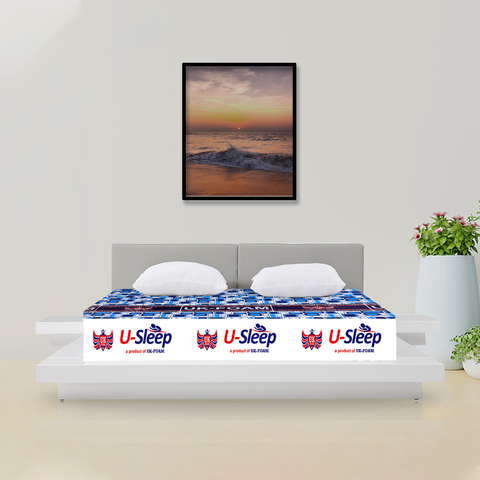 U-sleep